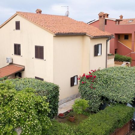 Apartments Mirella Novigrad Istria エクステリア 写真