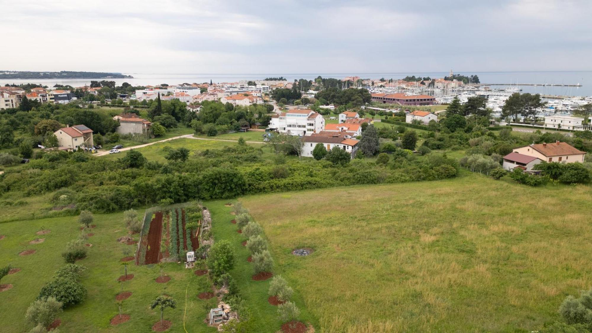 Apartments Mirella Novigrad Istria エクステリア 写真