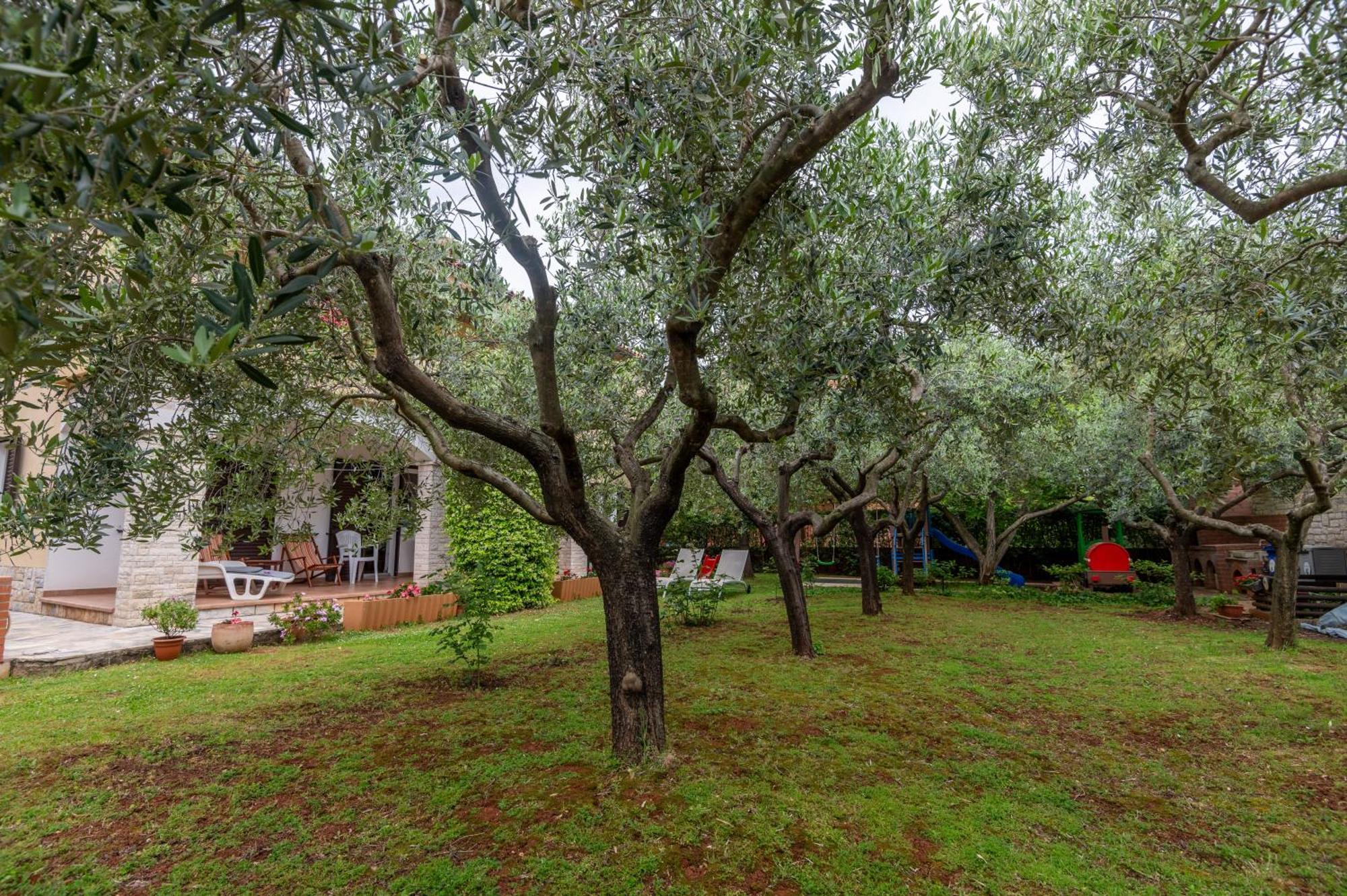 Apartments Mirella Novigrad Istria エクステリア 写真